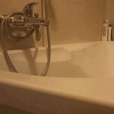 bathtub porn gif|Bathtub Sex Porn GIFs 